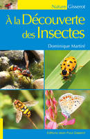 À la découverte des insectes