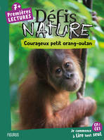 Courageux petit orang-outan