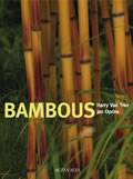 Bambous