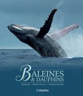 Baleines et dauphins, Espèces, mode de vie, comportement