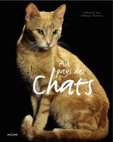 AU PAYS DES CHATS