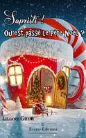 Sapristi ! Ou est passé le Père Noël ?