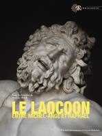 Le Laocoon entre Michel-Ange et Raphaël, un ressort de l'émulation