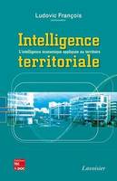 Intelligence territoriale, L'intelligence économique appliquée au territoire