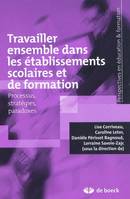 Travailler ensemble dans les établissements scolaires, Processus, stratégies et paradoxes