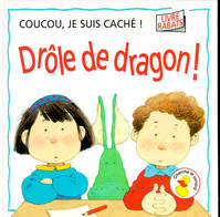 DROLE DE DRAGON