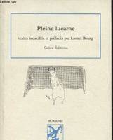 Pleine lucarne