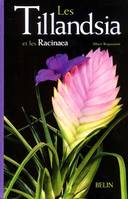 TILLANDSIA ET LES RACINAEA (LES)