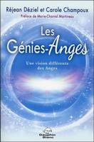 Les génies-anges, Une vision différente des anges