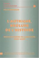 L'autriche brûlure de l'histoire, Brève histoire de l'Autriche de 1800 à 2000