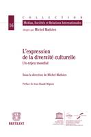 L'expression de la diversité culturelle, Un enjeu mondial