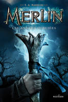 Les années oubliées, Merlin Livre 1 - Cycle 1