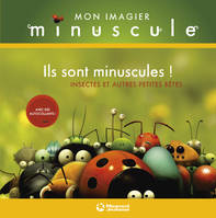 Mon imagier minuscule, ILS SONT MINUSCULES, insectes et autres petites bêtes