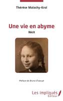 Une vie en abyme, Récit