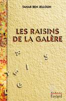 Les Raisins de la galère, roman