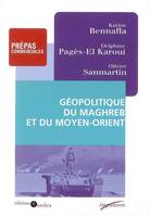 Géopolitique du Maghreb et du Moyen-Orient