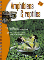 Amphibiens et reptiles