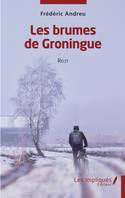 Les brumes de Groningue, Récit