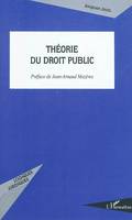 THEORIE DU DROIT PUBLIC