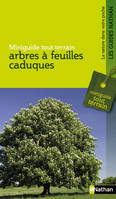 Miniguide tout terrain: arbres à feuilles caduques