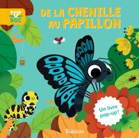 Pop doc, De la chenille au papillon