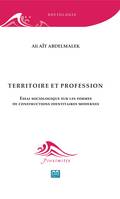 Territoire et profession, Essai sociologique sur les formes de constructions identitaires modernes