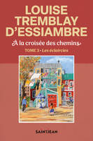 À la croisée des chemins, tome 3, Les éclaircies