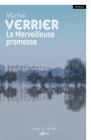 La merveilleuse promesse, Roman