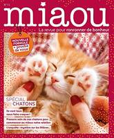 Miaou n°11 - spécial chatons