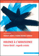 VIOLENCE A L'ADOLESCENCE - FRANCE-BRESIL : REGARDS CROISES, France-Brésil : regards croisés