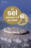 Le sel pousse-t-il au soleil ? , 120 clés pour comprendre le sel