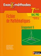 Fichier de mathématiques -Term Bac Pro Groupement B Exos et méthodes Livre de l'élève