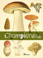 Le livre des champignons