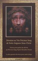 DEVOTION AU TRES PRECIEUX SANG DE NOTRE-SEIGNEUR JESUS-CHRIST - PRIERES PRINCIPALES DES DEVOTS AU PR