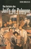 Une histoire des juifs de Pologne, religion, culture, politique