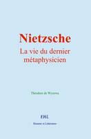 Nietzsche, la vie du dernier métaphysicien