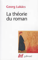 La théorie du roman