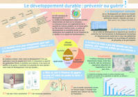 Développement durable : prévenir ou guérir ? (Le)