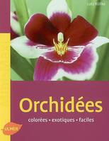 ORCHIDEES, colorés, exotiques, faciles