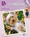 Le yorkshire