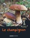 QUI EST-TU NATURE ? CHAMPIGNON, Qui es tu ? Nature