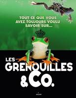 Tout ce que vouz devez savoir sur les grenouilles