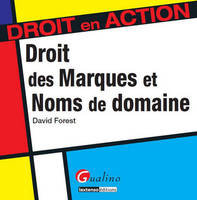 droit des marques et noms de domaine