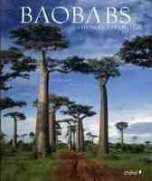 Baobabs