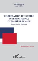 Coopération judiciaire internationale en matière pénale, France, brésil, suriname