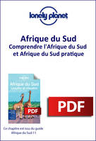 Afrique du Sud, Lesotho et Swaziland 11ed - Comprendre l'Afrique du Sud et Afrique du Sud pratique