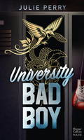 University Bad Boy, Une romance new adult sur fond de vengeance