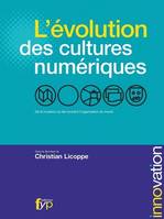 L'évolution des cultures numériques, De la mutation du lien social à l'organisation du travail