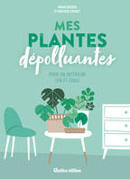 Mes plantes dépolluantes pour un intérieur zen et frais