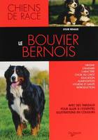 Le bouvier bernois